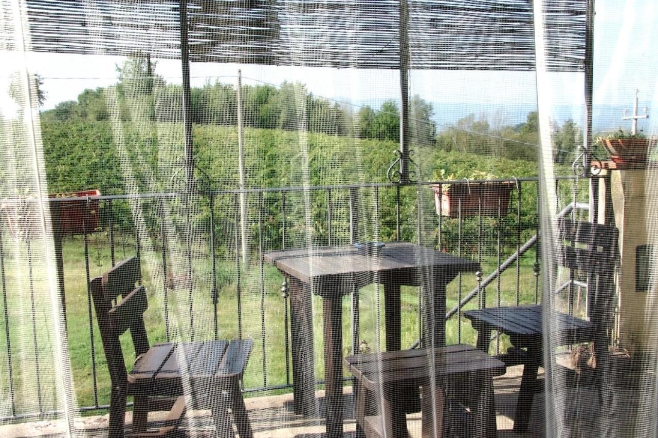 Il Pino Bioagricoltura Villa Terranuova Bracciolini Ngoại thất bức ảnh