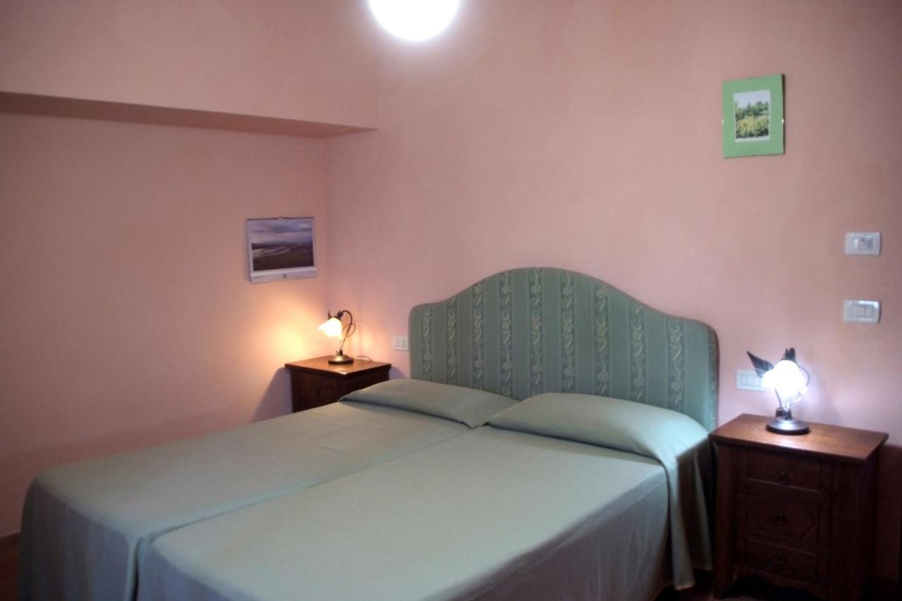 Il Pino Bioagricoltura Villa Terranuova Bracciolini Ngoại thất bức ảnh