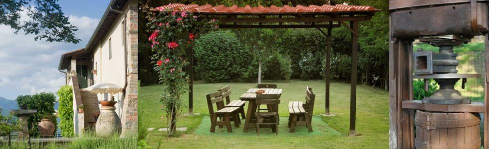 Il Pino Bioagricoltura Villa Terranuova Bracciolini Ngoại thất bức ảnh